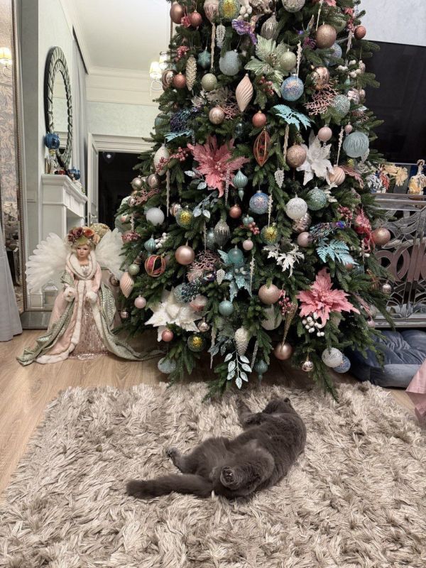 ����� ��������: ���������� �������� �������� ������, ������