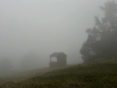 ���������� �������������� � ��������������� ������������� �� ���������� ���� �� 20 ������� 2025 ����