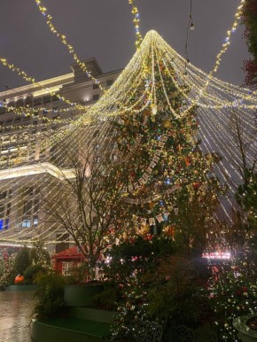 ���� ������: ������ �� ����.. ���� ������� �������� ������� ������! ��������� ��� ����� �����