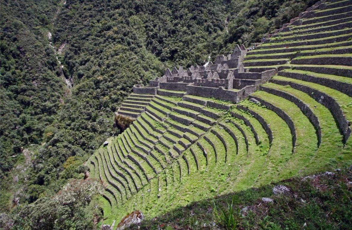 Ольга Шевцова: Хорошие новости со всего мира, о которых практически никто ничего не говорит Ольга Шевцова: Хорошие новости со всего мира, о которых практически никто ничего не говорит