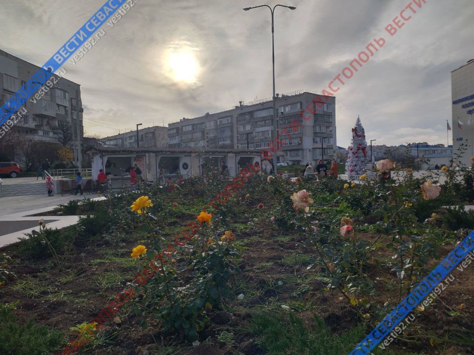 Новогодняя ярмарка в микрорайоне «Бухта Казачья» Новогодняя ярмарка в микрорайоне «Бухта Казачья»
