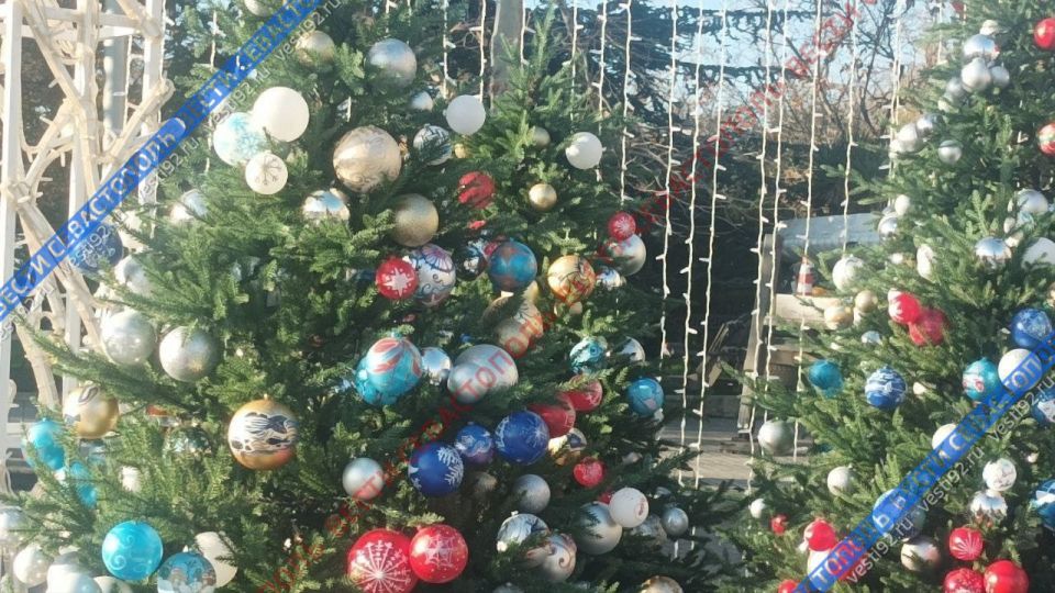 Праздничную ёлку на площади Нахимова городу подарили предприниматели Праздничную ёлку на площади Нахимова городу подарили предприниматели
