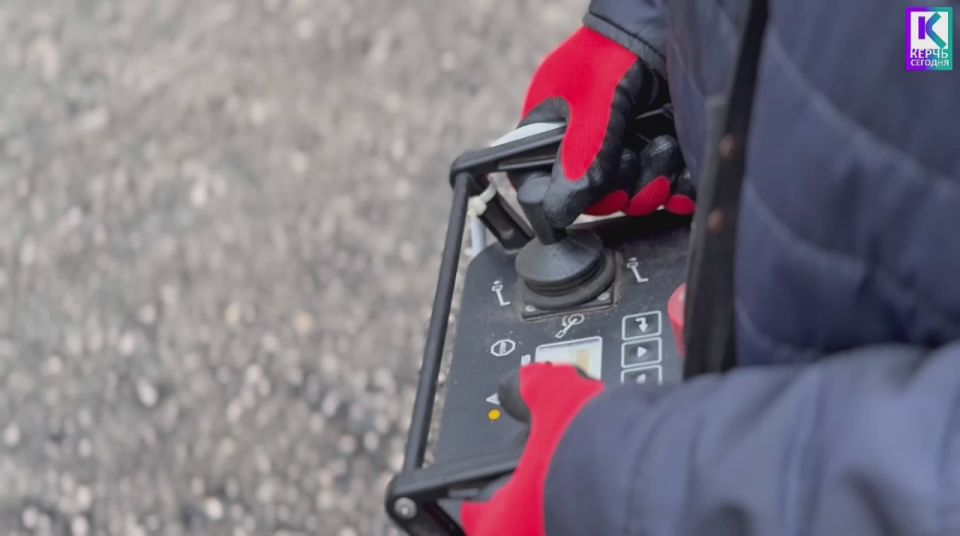 В разное время года зеленым насаждениям нужна забота специалистов