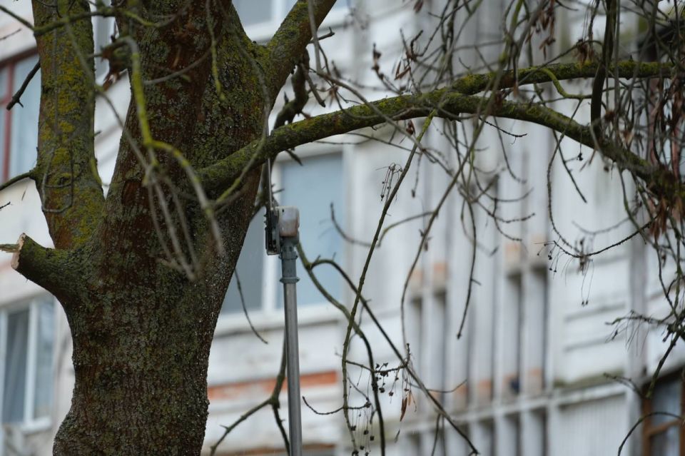 � ������ ����� ���� ������� ����������� ����� ������ ������������