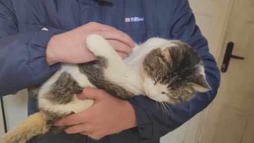 ��������� ����� ���� ���������� ������ ����� ���������� �������� � ��������� �������� ���������� � 2025 ����