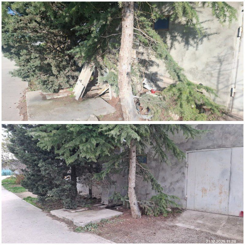 ������������� ������ ���������� �������� ��������� ������ ��������������� ������