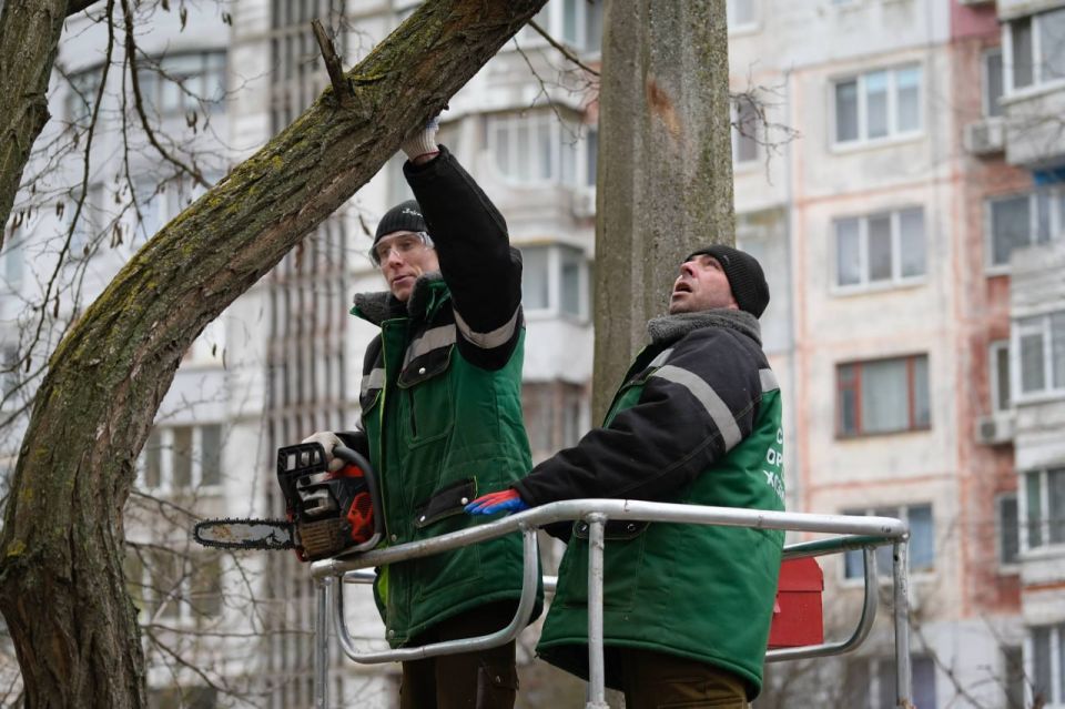 � ������ ����� ���� ������� ����������� ����� ������ ������������