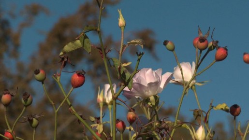 ������ ����, �����������!. #����������� #����