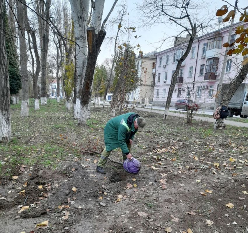 В Феодосии продолжаются работы по уборке зеленых зон и высадке молодых деревьев В Феодосии продолжаются работы по уборке зеленых зон и высадке молодых деревьев