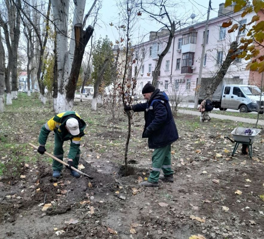В Феодосии продолжаются работы по уборке зеленых зон и высадке молодых деревьев В Феодосии продолжаются работы по уборке зеленых зон и высадке молодых деревьев