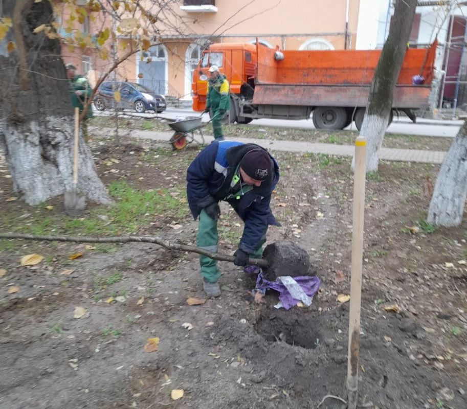 В Феодосии продолжаются работы по уборке зеленых зон и высадке молодых деревьев В Феодосии продолжаются работы по уборке зеленых зон и высадке молодых деревьев