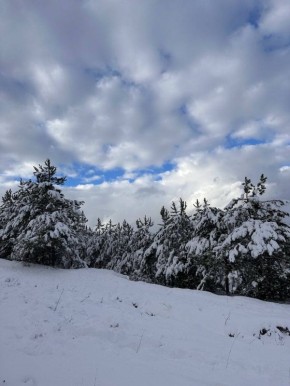 � ����� ���������� ������������� �����