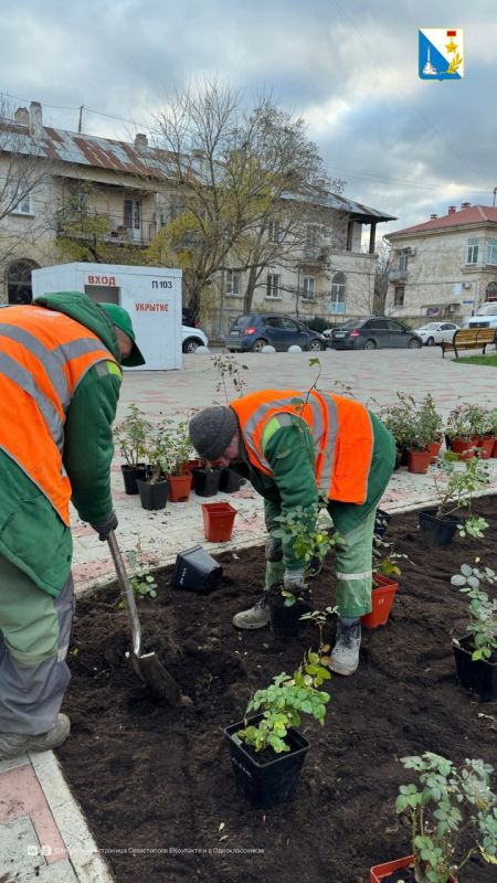 Специалисты «Парков и скверов» создали новый розарий в сквере «Корабел» Специалисты «Парков и скверов» создали новый розарий в сквере «Корабел»