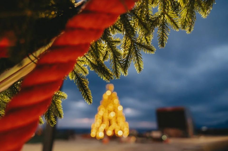 Знакомьтесь, это Главная морская ёлка страны Знакомьтесь, это Главная морская ёлка страны