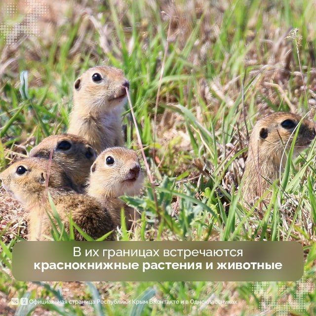 Уникальная природа Крыма — национальное достояние, которое необходимо беречь и охранять Уникальная природа Крыма — национальное достояние, которое необходимо беречь и охранять