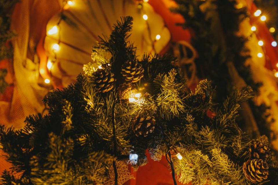 Знакомьтесь, это Главная морская ёлка страны Знакомьтесь, это Главная морская ёлка страны