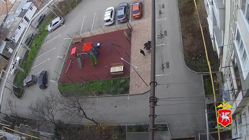 ������������������ ������� ����������, ���������� �������� �� ���������, ������� �������� �����