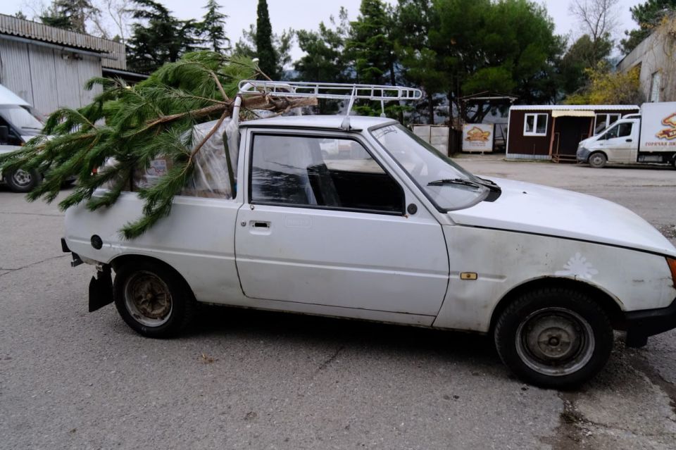 ����� ��������: ������� ��������������� �������� �� �����