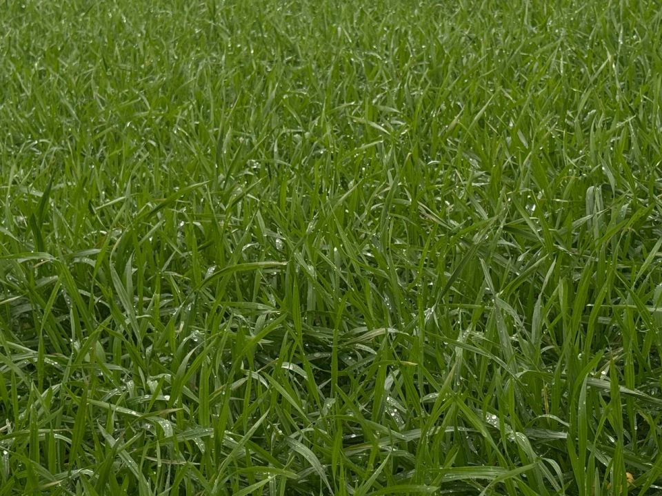 ����� ������: ������� �������� � ������� ����������, ������� �������� � ��� ����� 540 ����� ��������, �������� ���������� �� ������������ � ������ �������