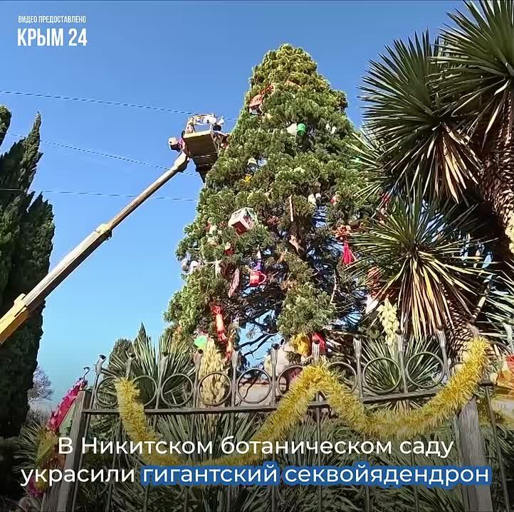 � ��������� ������������ ���� � ������ ���� �������� ��������������