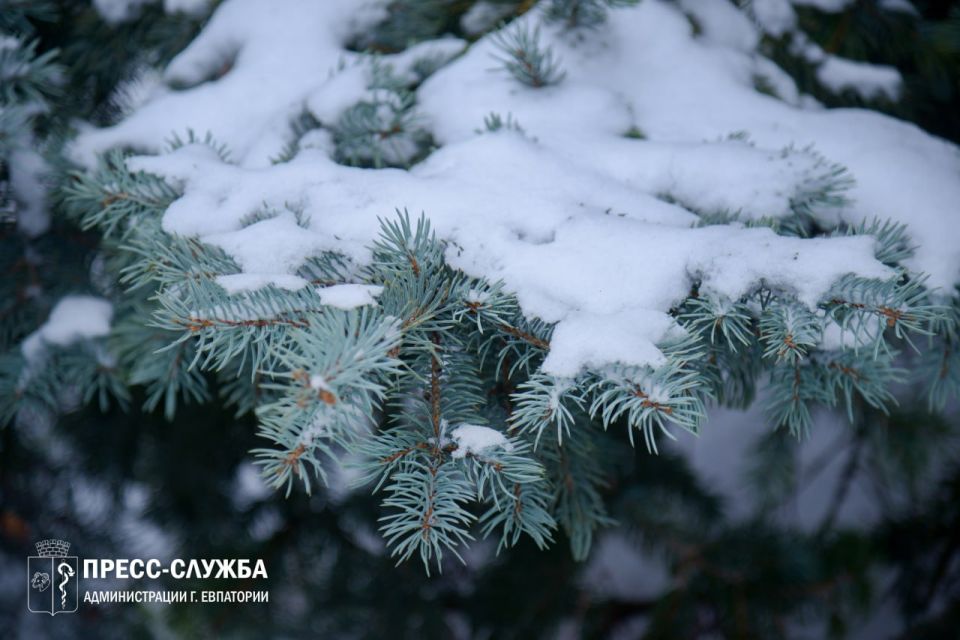 � ����� ��������� ��������� ��������������