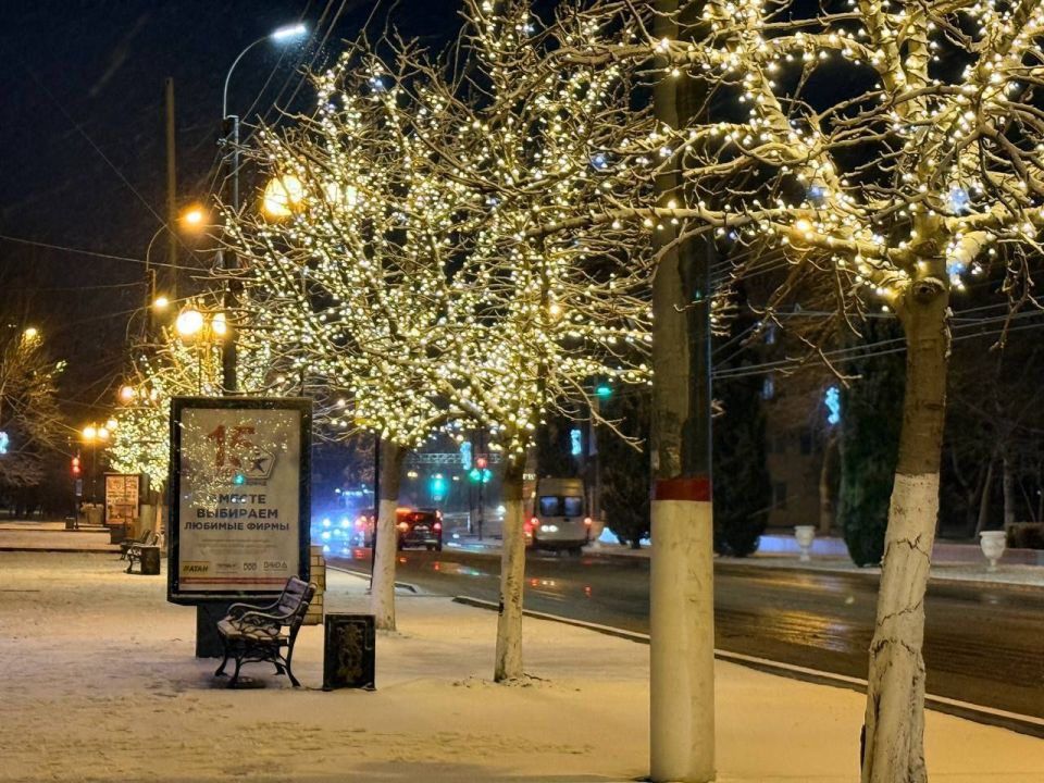 Вдоль улицы Кирова появилась аллея из светящихся деревьев Вдоль улицы Кирова появилась аллея из светящихся деревьев