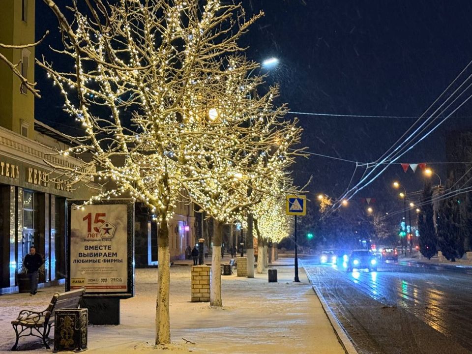 Вдоль улицы Кирова появилась аллея из светящихся деревьев