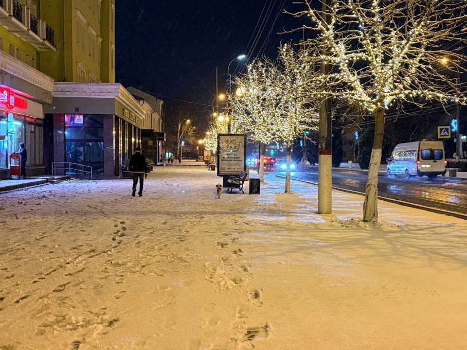 Вдоль улицы Кирова появилась аллея из светящихся деревьев Вдоль улицы Кирова появилась аллея из светящихся деревьев