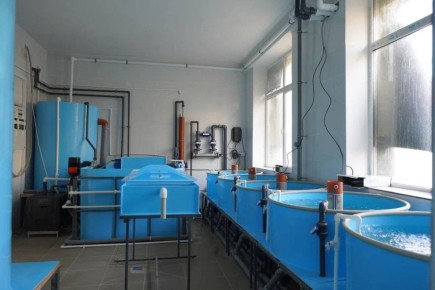 ����������� ��������� �����������: � ���������� ���� �������������� ��������� ����� ���������� �����������