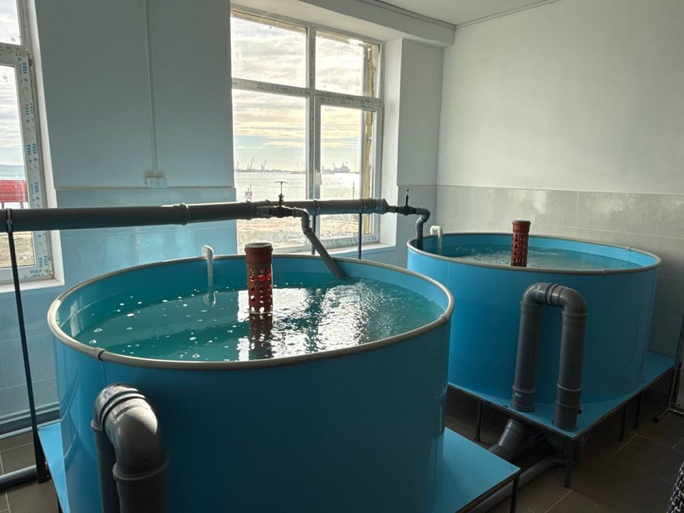 В Керчи открыт Центр отраслевых компетенций на базе ФГБОУ ВО «Керченский государственный морской технологический университет» В Керчи открыт Центр отраслевых компетенций на базе ФГБОУ ВО «Керченский государственный морской технологический университет»