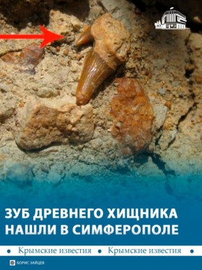 ��� �������������� ����� ���������� �� ������� �����������