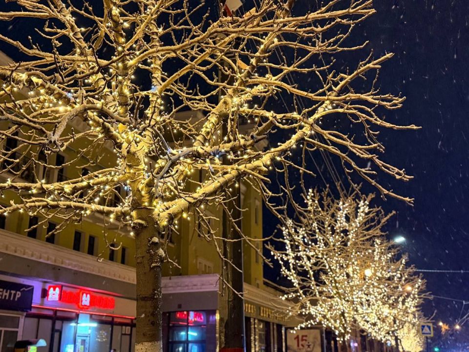 Вдоль улицы Кирова появилась аллея из светящихся деревьев Вдоль улицы Кирова появилась аллея из светящихся деревьев