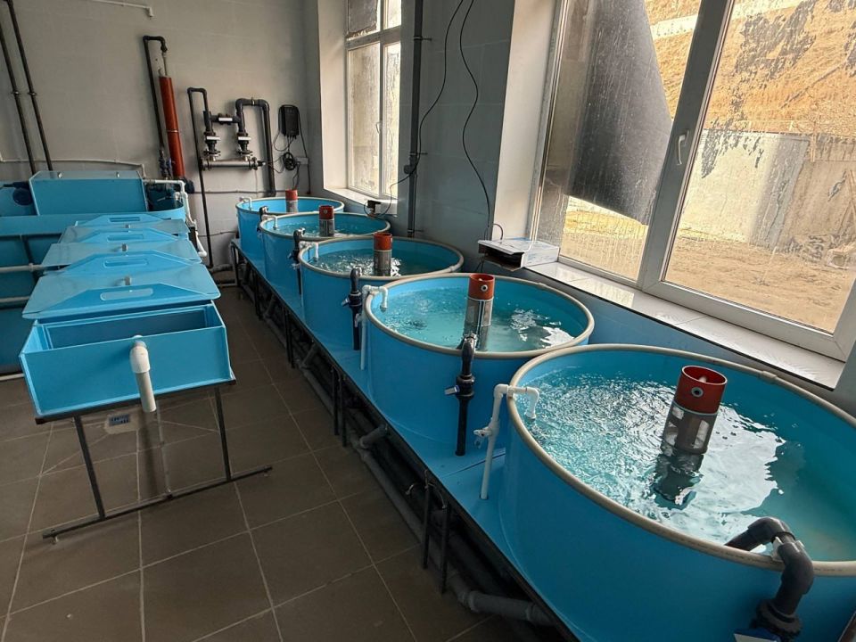 В Керчи открыт Центр отраслевых компетенций на базе ФГБОУ ВО «Керченский государственный морской технологический университет» В Керчи открыт Центр отраслевых компетенций на базе ФГБОУ ВО «Керченский государственный морской технологический университет»