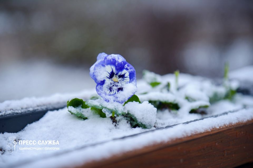 ������� �������� ������� � �����: ������� �� ����� ������� � ������ ���� ������