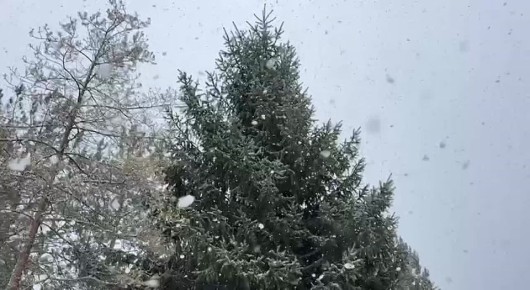 ����� ������: ������ ����, ������� ������!