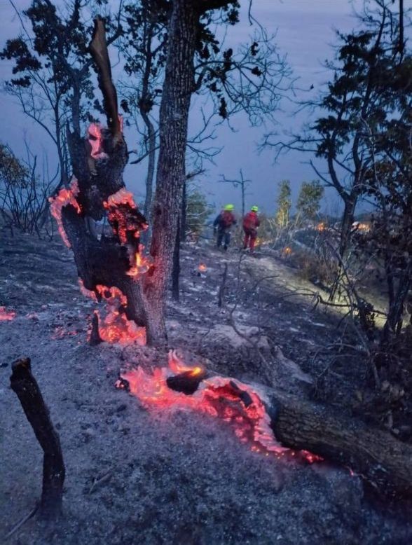 ������ ������: �������� ���������� ����� ���������� � ���������������� ���������� � 35-������ ��� ������!