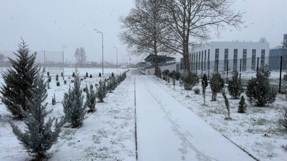 Антон Кравец: Добрый день, дорогие друзья! Антон Кравец: Добрый день, дорогие друзья!