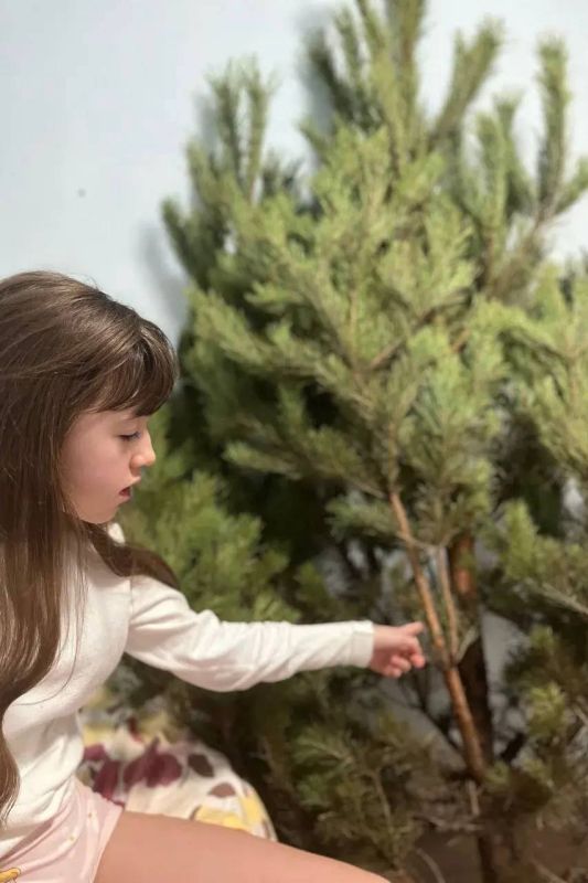 ��������� �����: ����� ��� � ��� �����, ����� ���������� ������