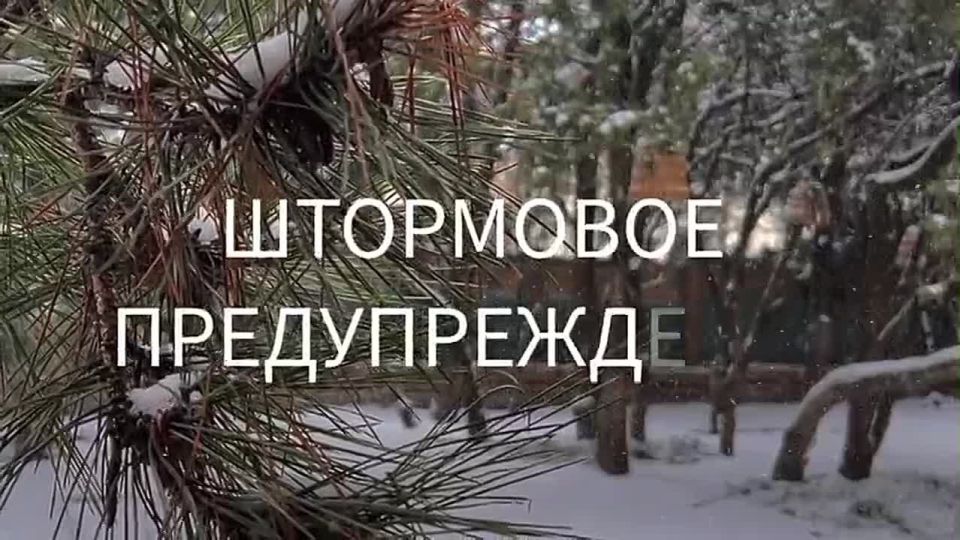 ���������� �������������� �� ������� ���������������������� �������� �� ���������� ���� �� 28 ������� 2025 ����