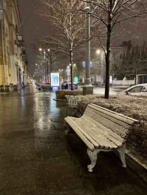 До Нового года 3 дня !