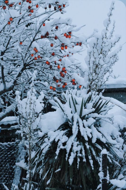 ����� ��������: ����� 300 ������� � 12 ������ ������� ���������� � ������ ����������� ��������� � ������� ����