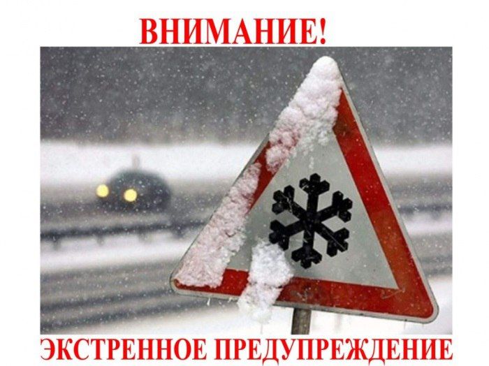 29 ������� � ����� ��������� ������� ���������-����������� ���������, ������� ����������