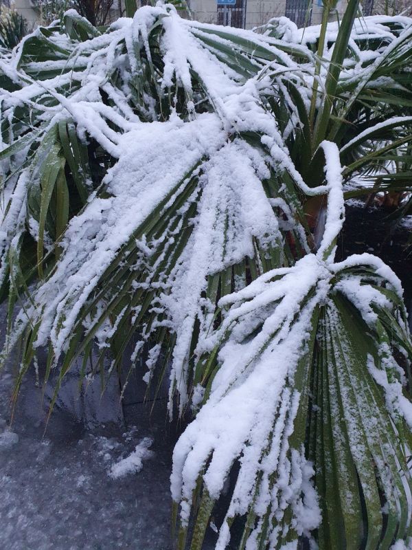 ����� ��������: ����� 300 ������� � 12 ������ ������� ���������� � ������ ����������� ��������� � ������� ����