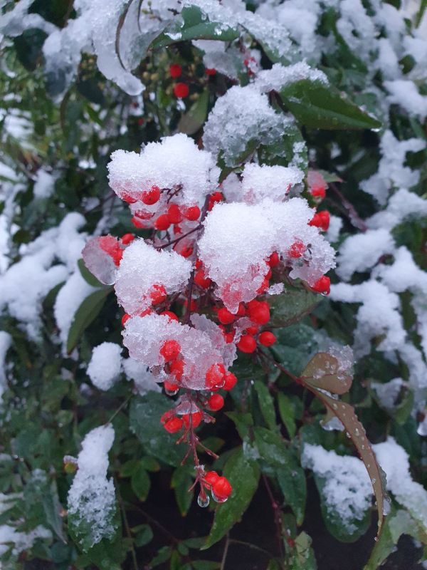 ����� ��������: ����� 300 ������� � 12 ������ ������� ���������� � ������ ����������� ��������� � ������� ����