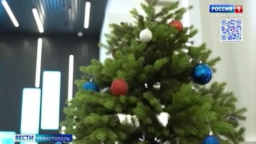 Новый год — время, когда мечты могут сбываться