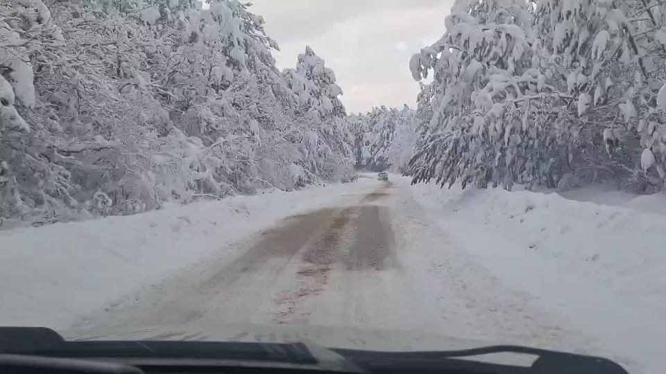 ���������� � ����� (�������������� �����):