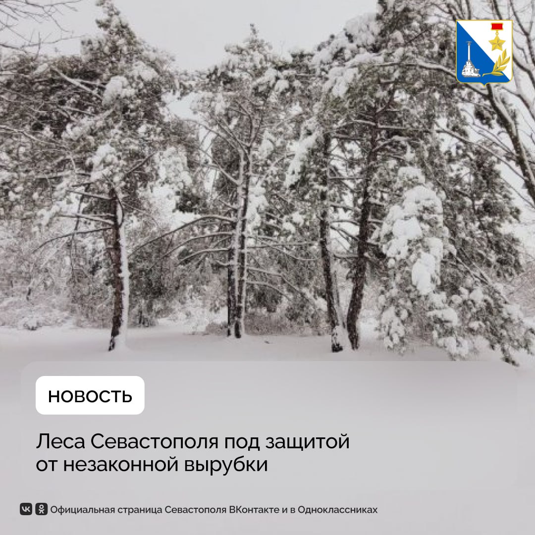 Севастопольские леса патрулируют в усиленном режиме