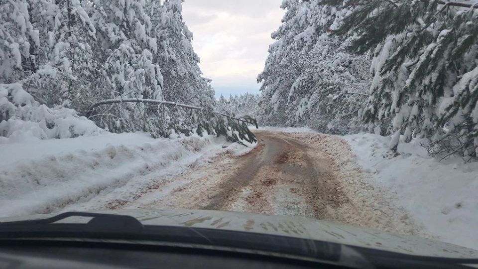 ���������� � ����� (�������������� �����):