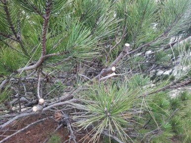 � �������������� ������ � ����� ��������� 3 ������ ���������� ��������� �������