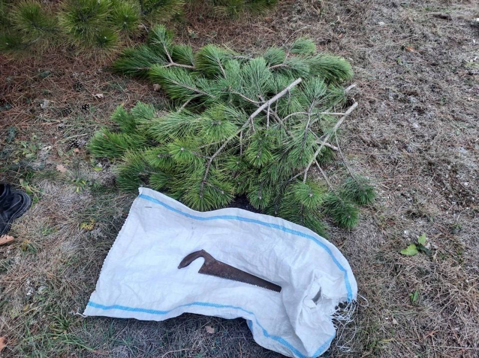 � �������������� ������ � ����� ��������� 3 ������ ���������� ��������� �������